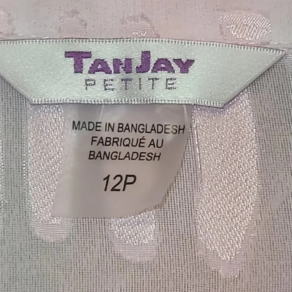 Tan Jay Women's Petite Pink Sheer Long  Sleeve Button Down Blouse Size 12P - Picture 4 of 10